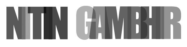 Nitin Gambhir — Legal & Business Consulting